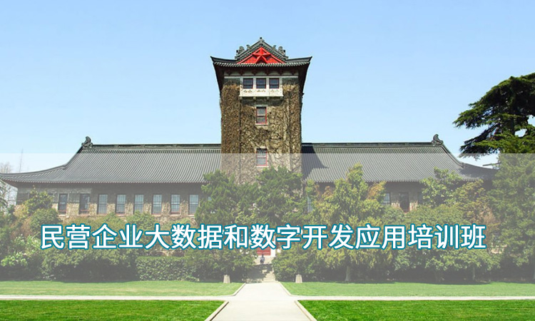 企业培训—南京大学民营企业大数据和数字开发应用培训班