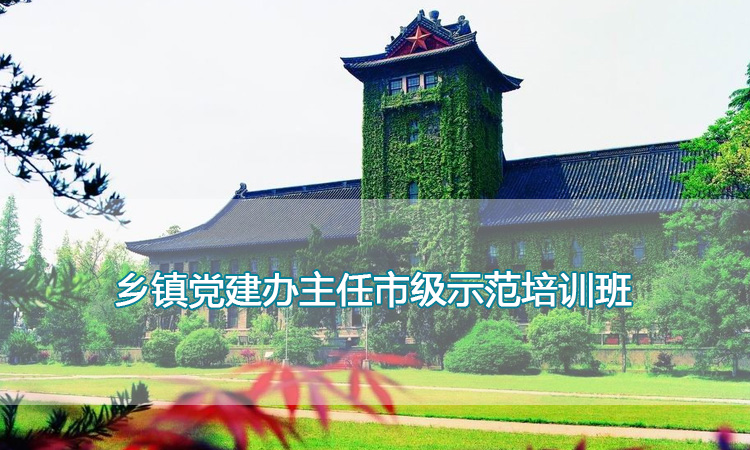 南京大学培训中心-乡镇党建办主任市级示范培训班